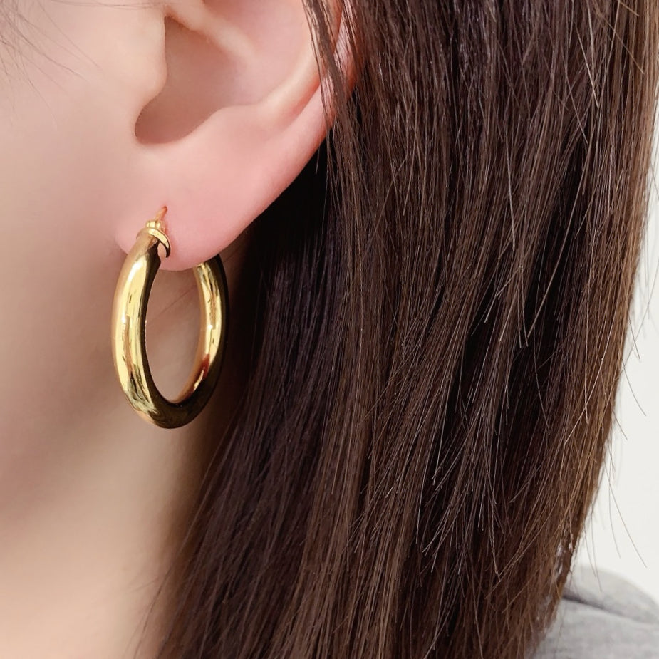 Dolce Earrings